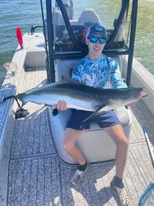 Cobia Fishing Charters- Tampa, Fl